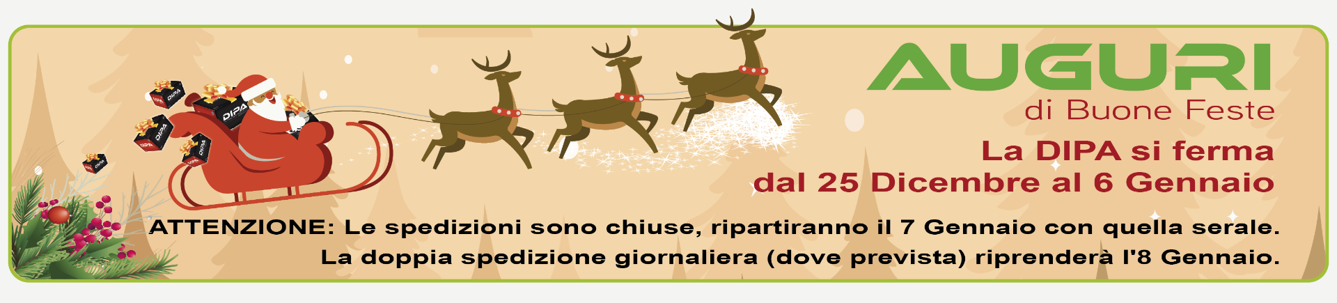 lastlastBANNER_AUGURI_NATALE_DIPA_2024